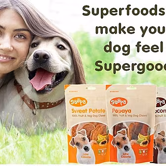 Jingly Bits - Soopapets.com