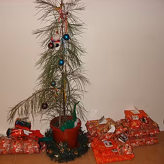 Maria's Christmas Tree Arr...