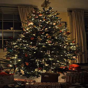 How to curb your Christmas spe...