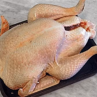 Gift Liveline Turkey