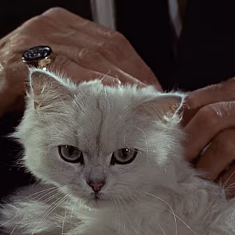 Heard About The New Bond Movie...