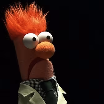 "We look like Beaker from...