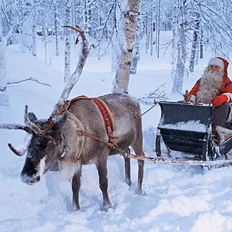 Celebrity Sleigh Ride 