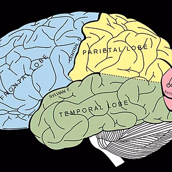 The Danger of Multitasking