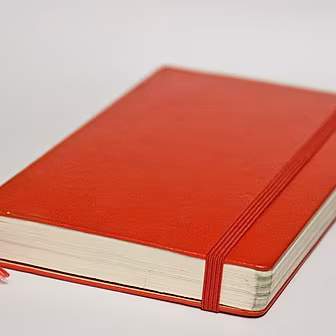 Business Diary