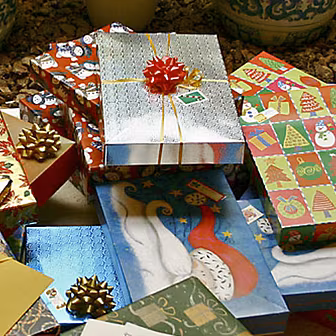 Guess What I Got For Christmas...