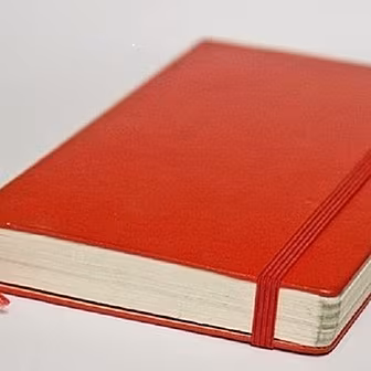 Business Diary