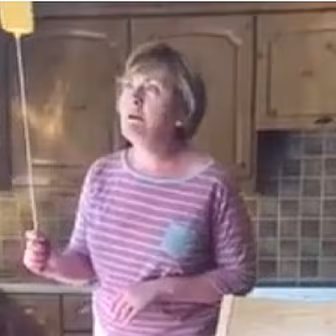 Irish Mammy V The Bee
