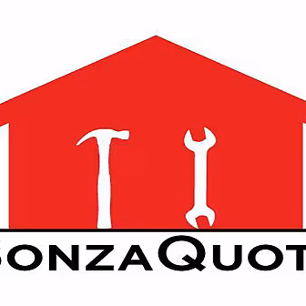 Bonza Quote