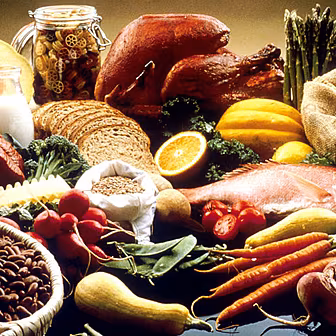 MUSEUM OF FOOD