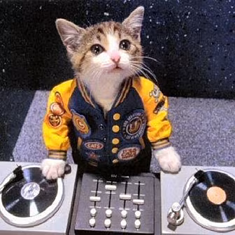 Say Stuff That Suits The Music