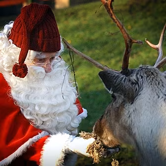 Would you eat reindeer meat?