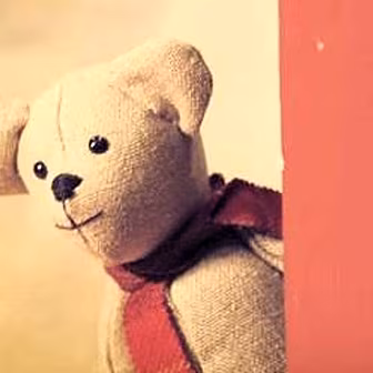 The Ballymena Bear just won Ch...