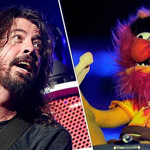 Dave Grohl takes on Animal in...