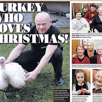 Ireland's luckiest turkey...