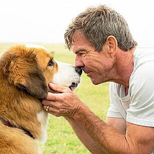 Dennis Quaid Apologises To Sao...