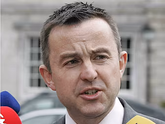 Brian Hayes to contest Europea...