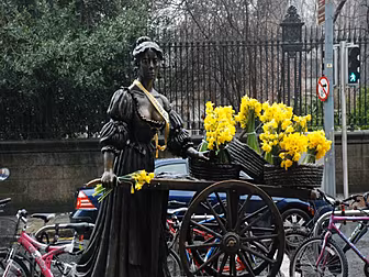 It's Daffodil Day