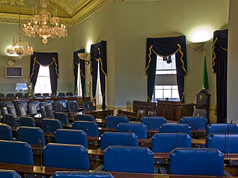 Seanad holds emergency debate