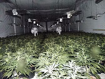 Bill to allow sale and growth...