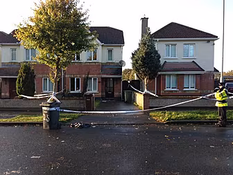 Gardai question woman over dea...