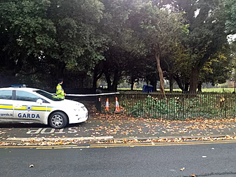 Arrest over Phoenix Park murde...