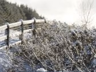 First snowfall of the season