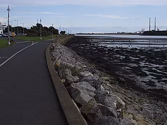 Gardai try to identify woman f...