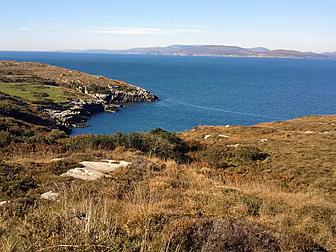 Divers to search off Sheep'...