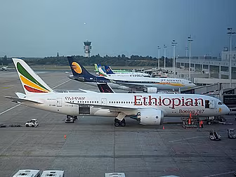 Co Pilot hijacks plane 