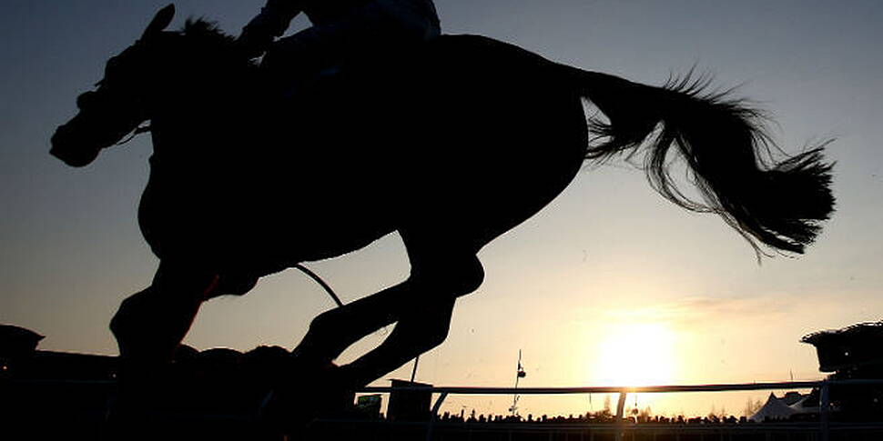 Dublin Horse Show opens today