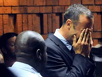 Pistorius trial hears details...