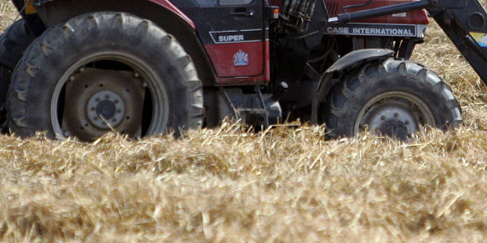 Man dies in farm accident in C...