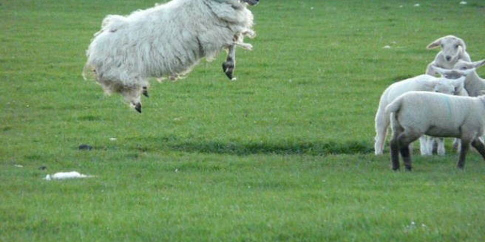 Farm Safety Awareness Day is t...