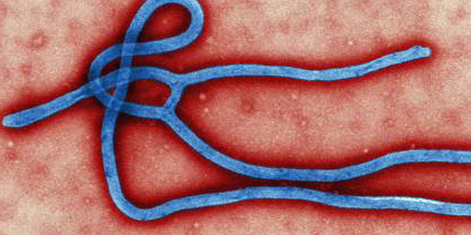 WHO to decide later if Ebola a...