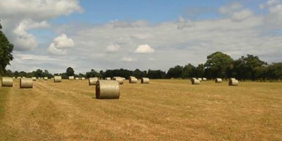 5 year old dies in farm accide...