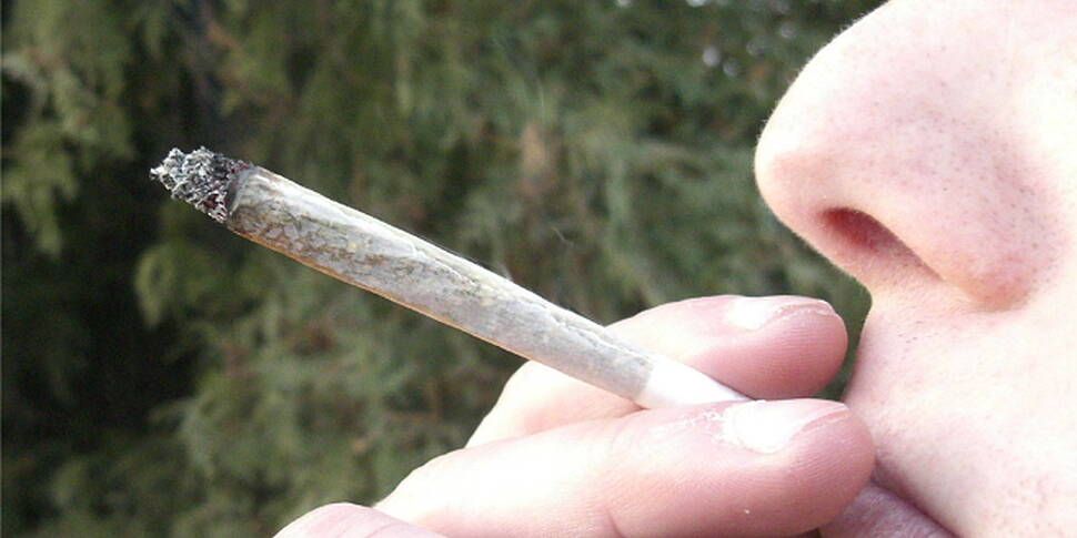 Study shows harmful effect of...
