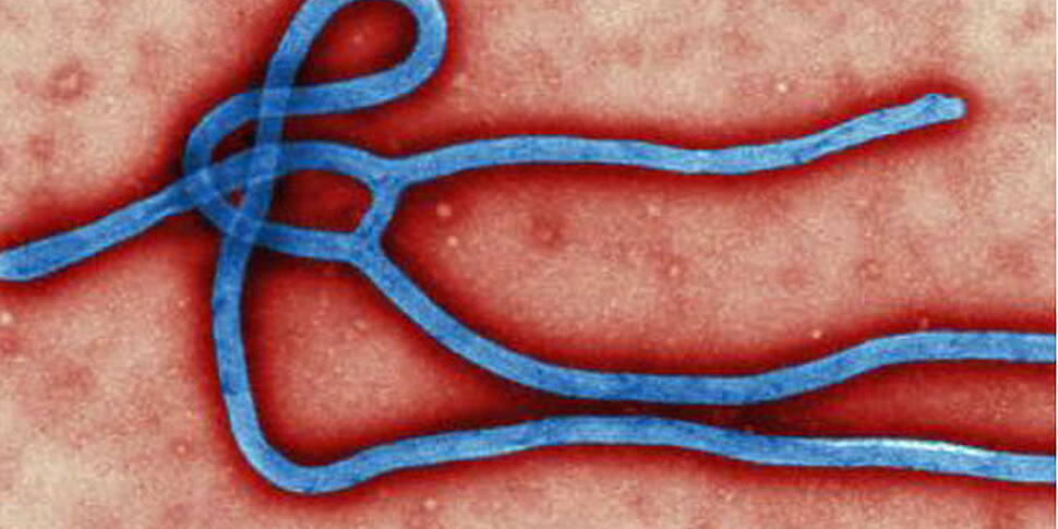 Spanish nurse ill with Ebola