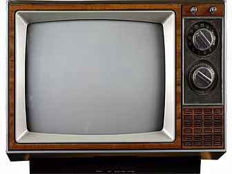 Shelly's Telly - What To W...
