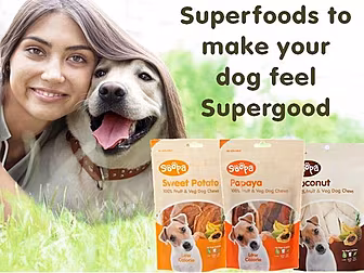 Jingly Bits - Soopapets.com