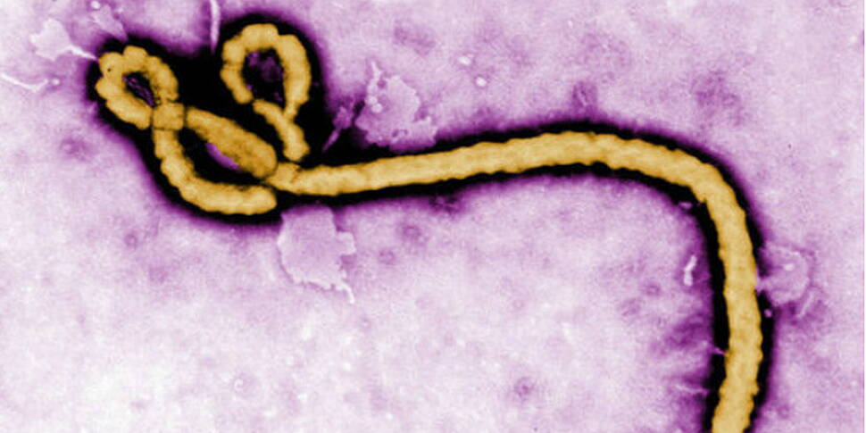 Ebola cases exceed 10,000