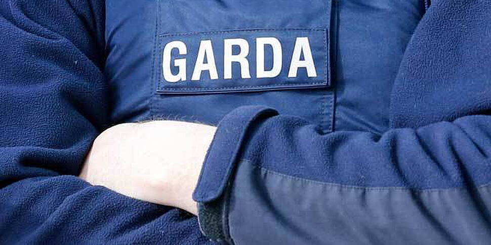Gardai make claims about '...