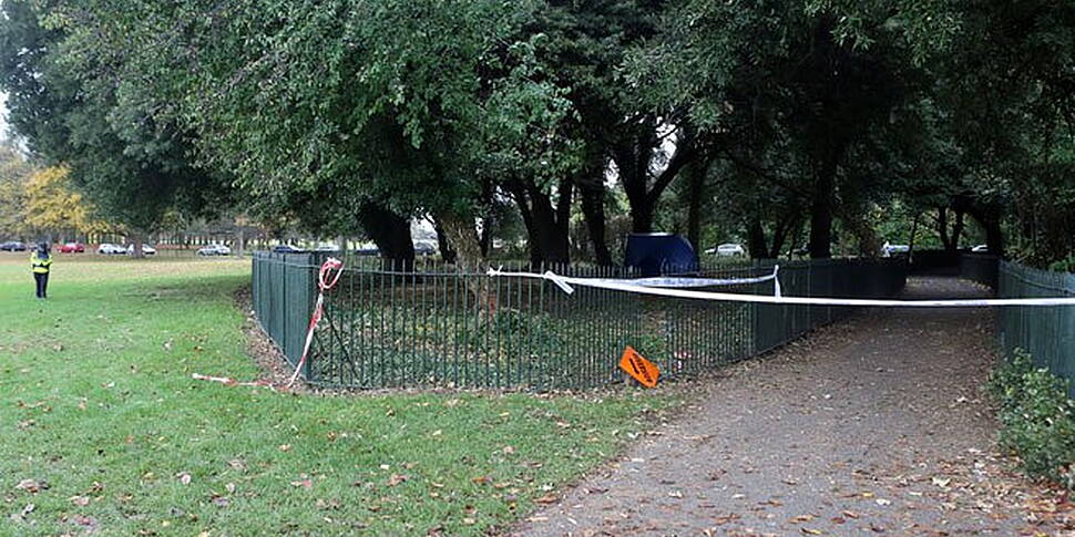 Homeless man changes plea to g...