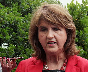 Tánaiste hints Economic Commit...