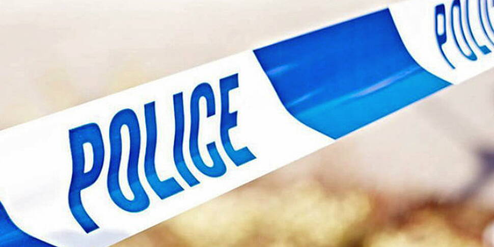 Limerick man dies in US