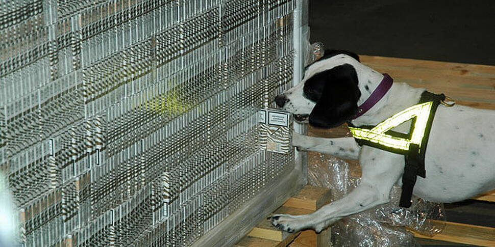 8 million cigarettes seized 