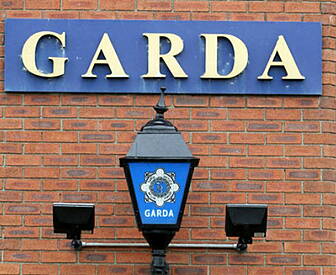 Gardai investigate tiger kidna...