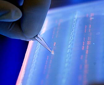 Fewer men getting cancer