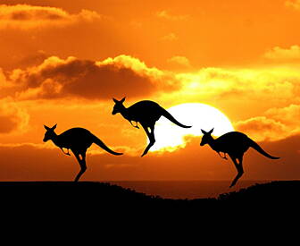 Beautiful Cover of Adele