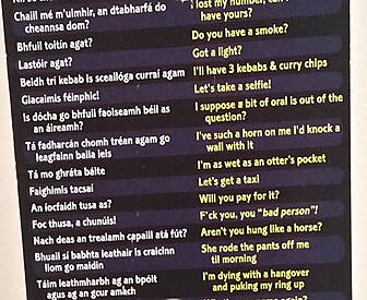 NSFW: Learn Irish On The Loo